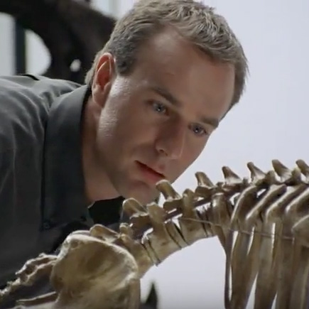 Ontario Chiropractic Association